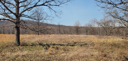 Timberland Near Tecumseh, Ozark County Missouri - image 4