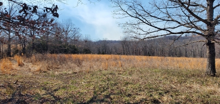 Timberland Near Tecumseh, Ozark County Missouri - image 2