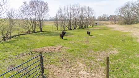 Livestock and Equestrian Farm for Sale in Carroll County, TN - image 31