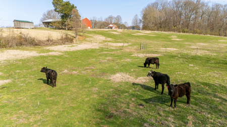 Livestock and Equestrian Farm for Sale in Carroll County, TN - image 32