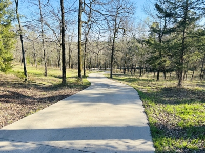 3/3/3 LOG HOME in HORSESHOE BEND on 10 ACRES - WINNSBORO TEXAS WOOD COUNTY, TX - image 38