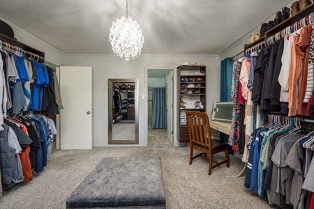 Home and Shop for Sale in Las Cruces, New Mexico - image 24