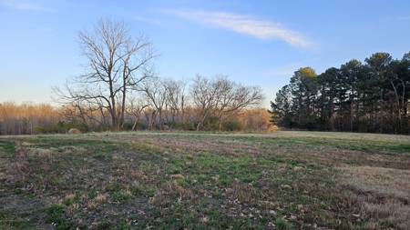 Large Country Home in Rector, Arkansas - image 39