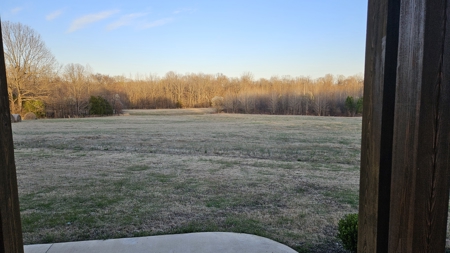 Large Country Home in Rector, Arkansas - image 38