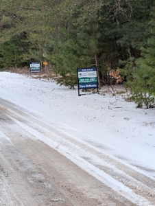 Buildable Lot in Atlanta, MI – Prime Northern Michigan Location! - image 4