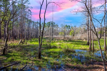 Country Home for Sale in Trenton, FL! - image 34