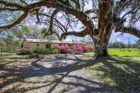 Country Home for Sale in Trenton, FL! - image 2