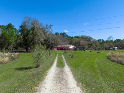 Country Home for Sale in Trenton, FL! - image 41
