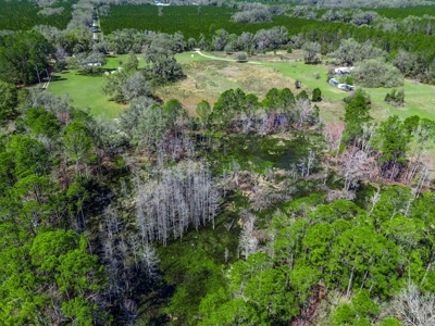 Country Home for Sale in Trenton, FL! - image 44