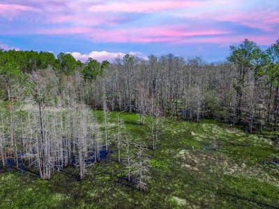 Country Home for Sale in Trenton, FL! - image 45