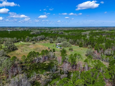 Country Home for Sale in Trenton, FL! - image 43