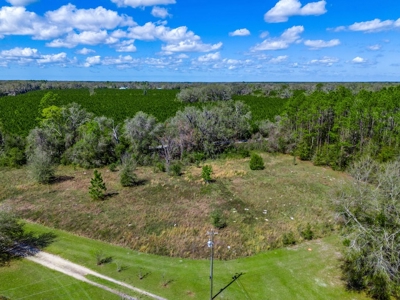 Country Home for Sale in Trenton, FL! - image 46