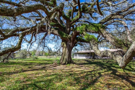 Country Home for Sale in Trenton, FL! - image 29