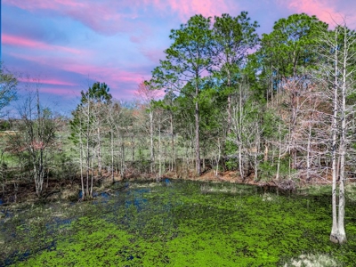 Country Home for Sale in Trenton, FL! - image 38