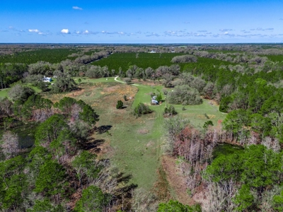 Country Home for Sale in Trenton, FL! - image 39