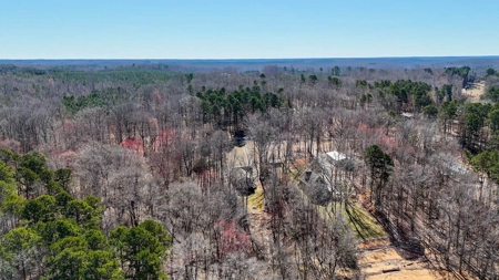 Island Creek Vista On Kerr Lake, Clarksville Va - image 19