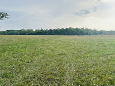 Almost 50 Acres Winnsboro, Tx - Hopkins County - Old Farmhouse East Of Dallas - image 9