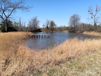 Almost 50 Acres Winnsboro, Tx - Hopkins County - Old Farmhouse East Of Dallas - image 1