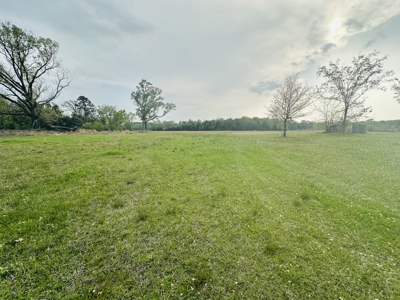 Almost 50 Acres Winnsboro, Tx - Hopkins County - Old Farmhouse East Of Dallas - image 10