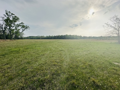 Almost 50 Acres Winnsboro, Tx - Hopkins County - Old Farmhouse East Of Dallas - image 13