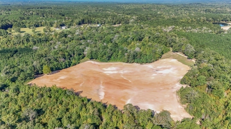 Hunting Lodge with Waterfall in Wilkinson County, MS - image 34