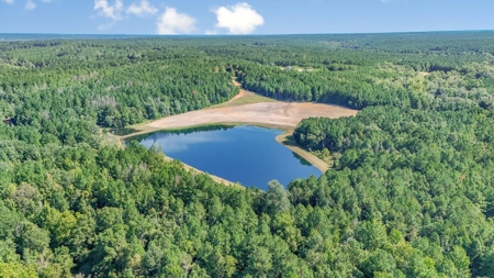 Hunting Lodge with Waterfall in Wilkinson County, MS - image 48