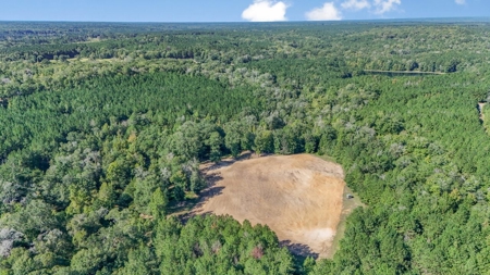Hunting Lodge with Waterfall in Wilkinson County, MS - image 36