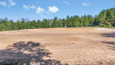 Hunting Lodge with Waterfall in Wilkinson County, MS - image 37