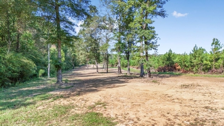 Hunting Lodge with Waterfall in Wilkinson County, MS - image 42