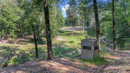Hunting Lodge with Waterfall in Wilkinson County, MS - image 38