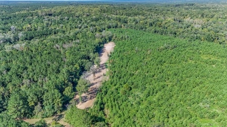 Hunting Lodge with Waterfall in Wilkinson County, MS - image 43