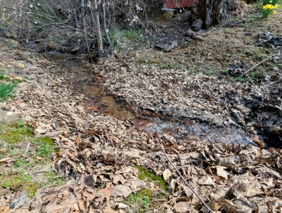 Ranch Style Home With 3 Bedrooms - 2 Baths  In Patrick County, Va - image 43