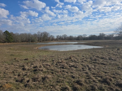 Home and Ranch for Sale in Antlers, Oklahoma! - image 44