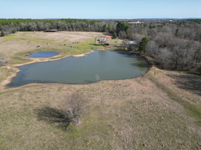Home and Ranch for Sale in Antlers, Oklahoma! - image 25