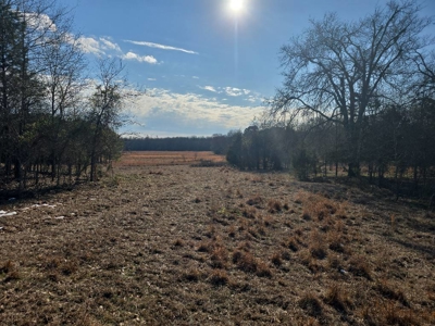 Home and Ranch for Sale in Antlers, Oklahoma! - image 41