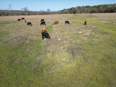 Home and Ranch for Sale in Antlers, Oklahoma! - image 47