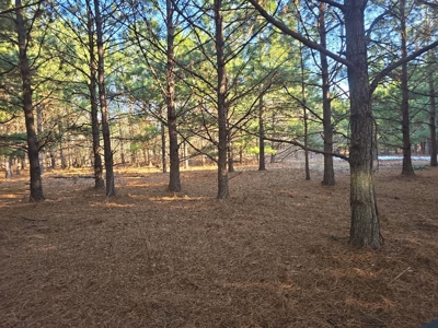Home and Ranch for Sale in Antlers, Oklahoma! - image 37