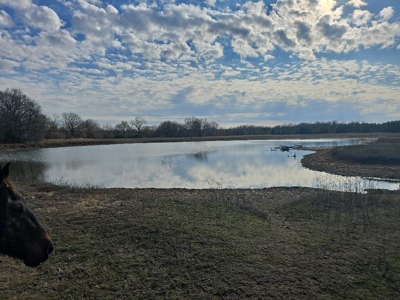 Home and Ranch for Sale in Antlers, Oklahoma! - image 45