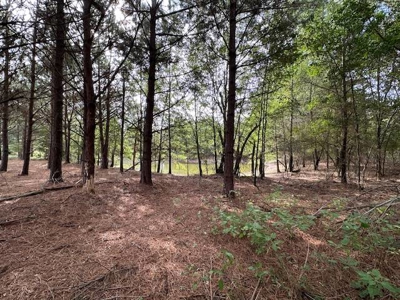 Home and Ranch for Sale in Antlers, Oklahoma! - image 33