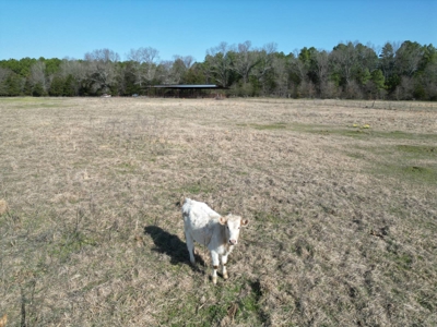 Home and Ranch for Sale in Antlers, Oklahoma! - image 48