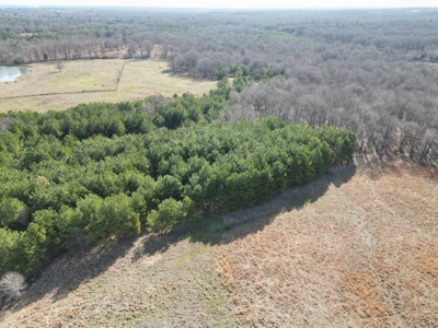Home and Ranch for Sale in Antlers, Oklahoma! - image 22