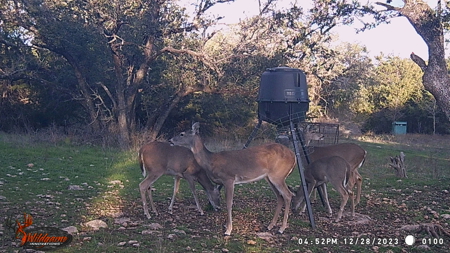 Private 52.6-Acre Texas Ranch with Home, Creek, & Stunning Views - image 30