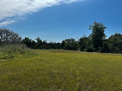 Private 52.6-Acre Texas Ranch with Home, Creek, & Stunning Views - image 6