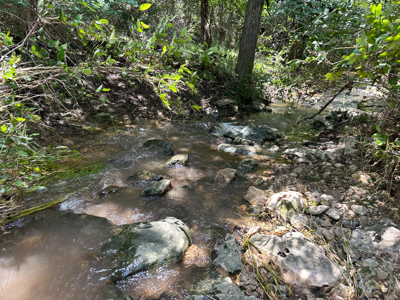 Private 52.6-Acre Texas Ranch with Home, Creek, & Stunning Views - image 45