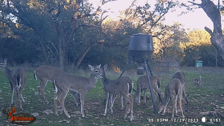Private 52.6-Acre Texas Ranch with Home, Creek, & Stunning Views - image 39