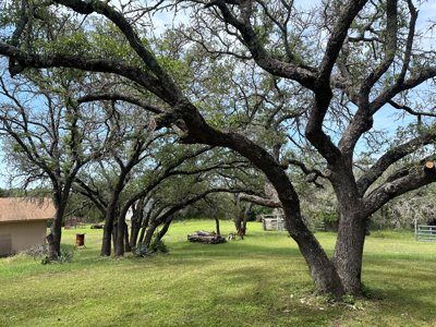 Private 52.6-Acre Texas Ranch with Home, Creek, & Stunning Views - image 16