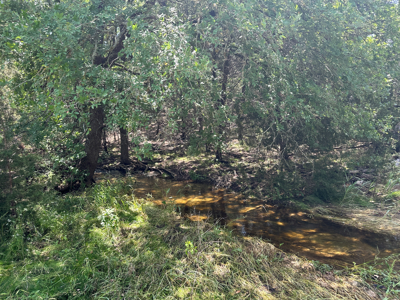 Private 52.6-Acre Texas Ranch with Home, Creek, & Stunning Views - image 27