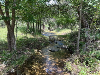 Private 52.6-Acre Texas Ranch with Home, Creek, & Stunning Views - image 3