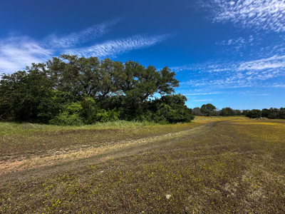 Private 52.6-Acre Texas Ranch with Home, Creek, & Stunning Views - image 42