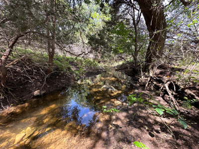 Private 52.6-Acre Texas Ranch with Home, Creek, & Stunning Views - image 36